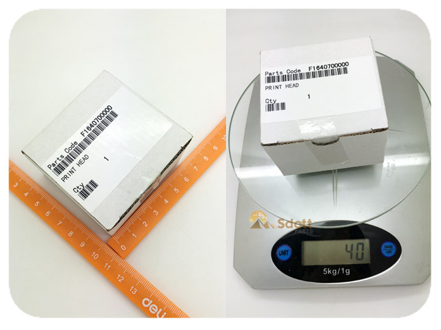 EPSON PHOTO R240_R245_R250_RX430 Print Head - F164070 EPSON PHOTO R240_R245_R250_RX430 Print Head - F164070